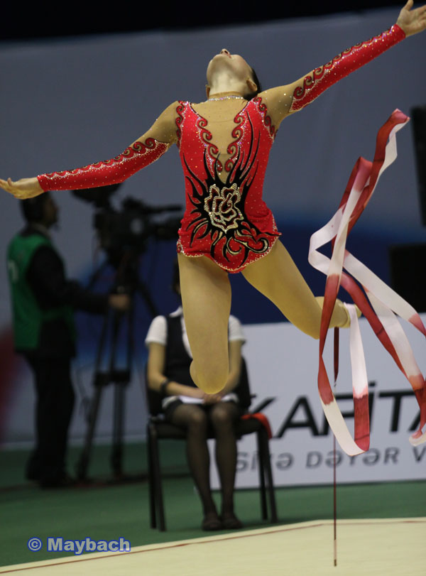 Bedii Gimnastika üzre 25ci Avropa Çempionatı: diger ölkeler